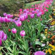 ヒメ日記 2026/03/28 19:28 投稿 りえこ おふくろさんYO!!大和店