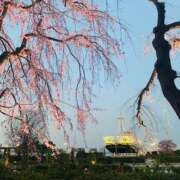 ヒメ日記 2026/03/31 16:18 投稿 りえこ おふくろさんYO!!大和店