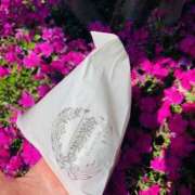 ヒメ日記 2026/04/11 14:08 投稿 りえこ おふくろさんYO!!大和店