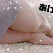 ヒメ日記 2025/05/13 15:27 投稿 あけみ 長崎佐世保ちゃんこ