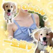 しのぶ 推し活 ベイキュート