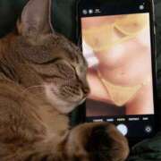 ヒメ日記 2025/07/03 20:02 投稿 ちさ 町田人妻城