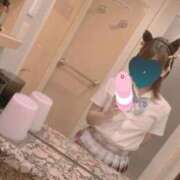 ヒメ日記 2025/07/31 23:46 投稿 ナオ きらめけ！にゃんにゃん学園in大宮