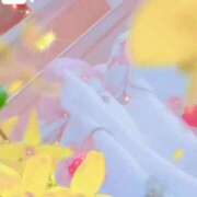 ヒメ日記 2024/12/17 11:50 投稿 ゆみ 奥様特急新潟店