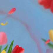 ヒメ日記 2025/03/30 07:50 投稿 ゆみ 奥様特急新潟店