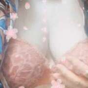 ヒメ日記 2025/04/11 21:01 投稿 ゆみ 奥様特急新潟店