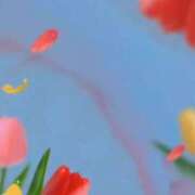 ヒメ日記 2025/05/18 08:10 投稿 ゆみ 奥様特急新潟店