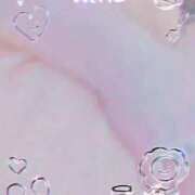 ヒメ日記 2025/06/15 08:00 投稿 ゆみ 奥様特急新潟店