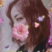 ヒメ日記 2025/07/31 01:20 投稿 ゆみ 奥様特急新潟店