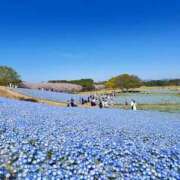 ヒメ日記 2025/05/08 18:16 投稿 さりな 素人妻御奉仕倶楽部Hip's松戸店