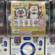 ヒメ日記 2026/06/23 13:49 投稿 さりな 素人妻御奉仕倶楽部Hip's松戸店