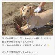 ヒメ日記 2026/09/04 17:22 投稿 さりな 素人妻御奉仕倶楽部Hip's松戸店