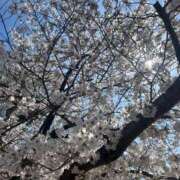 ヒメ日記 2026/04/11 08:43 投稿 一色　ひとみ プルプル京都性感エステ　はんなり