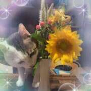 ヒメ日記 2025/05/01 09:16 投稿 沢村みなみ 川崎南町 素敵な奥様（川崎ハレ系）