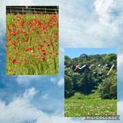 ヒメ日記 2025/05/07 09:21 投稿 沢村みなみ 川崎南町 素敵な奥様（川崎ハレ系）