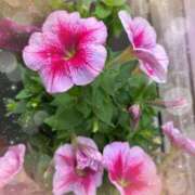 ヒメ日記 2025/05/21 11:28 投稿 沢村みなみ 川崎南町 素敵な奥様（川崎ハレ系）