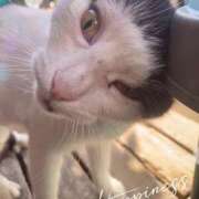 ヒメ日記 2025/05/27 12:44 投稿 沢村みなみ 川崎南町 素敵な奥様（川崎ハレ系）