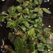 ヒメ日記 2025/05/29 17:48 投稿 沢村みなみ 川崎南町 素敵な奥様（川崎ハレ系）