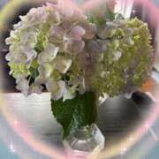 ヒメ日記 2025/06/12 09:26 投稿 沢村みなみ 川崎南町 素敵な奥様（川崎ハレ系）