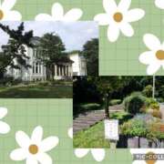 ヒメ日記 2025/06/17 15:07 投稿 沢村みなみ 川崎南町 素敵な奥様（川崎ハレ系）