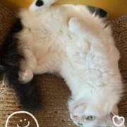 ヒメ日記 2025/06/18 10:40 投稿 沢村みなみ 川崎南町 素敵な奥様（川崎ハレ系）