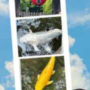 ヒメ日記 2025/09/19 09:09 投稿 沢村みなみ 川崎南町 素敵な奥様（川崎ハレ系）