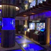 ヒメ日記 2025/01/06 19:38 投稿 じゅん 奥様電車