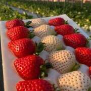 ヒメ日記 2025/02/16 17:48 投稿 じゅん 奥様電車