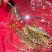 ヒメ日記 2025/04/28 14:43 投稿 じゅん 奥様電車