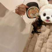 ヒメ日記 2025/01/21 04:49 投稿 みれい 奥鉄オクテツ東京店（デリヘル市場）