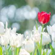 ヒメ日記 2025/04/11 15:19 投稿 みれい 奥鉄オクテツ東京店（デリヘル市場）