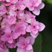 ヒメ日記 2025/05/28 06:04 投稿 みれい 奥鉄オクテツ東京店（デリヘル市場）