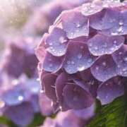 ヒメ日記 2025/06/11 04:27 投稿 みれい 奥鉄オクテツ東京店（デリヘル市場）