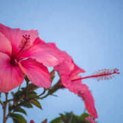 ヒメ日記 2025/06/23 04:11 投稿 みれい 奥鉄オクテツ東京店（デリヘル市場）