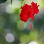 ヒメ日記 2025/07/05 12:20 投稿 みれい 奥鉄オクテツ東京店（デリヘル市場）