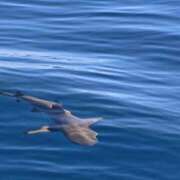 ヒメ日記 2025/08/17 12:23 投稿 みれい 奥鉄オクテツ東京店（デリヘル市場）