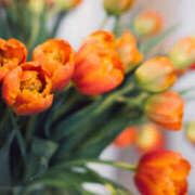 ヒメ日記 2026/02/17 19:10 投稿 みれい 奥鉄オクテツ東京店（デリヘル市場）