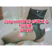 ヒメ日記 2025/12/11 11:00 投稿 綺咲みらい 禁断のメンズエステR-18堺・南大阪店