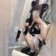 ヒメ日記 2025/04/03 12:19 投稿 星野ましろ 聖リッチ女学園