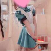 ヒメ日記 2026/03/17 08:22 投稿 みな Wonder7 (ワンダー7)