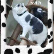 ヒメ日記 2025/11/10 20:02 投稿 かすみ 熟女の風俗最終章 宇都宮店