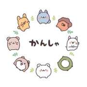 ヒメ日記 2025/04/11 01:12 投稿 さき ママ友倶楽部