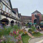 ヒメ日記 2025/05/18 17:29 投稿 さき ママ友倶楽部