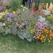 ヒメ日記 2025/05/20 18:38 投稿 さき ママ友倶楽部