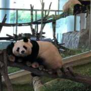 ヒメ日記 2025/06/30 14:21 投稿 さき ママ友倶楽部