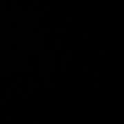 ヒメ日記 2025/06/17 17:33 投稿 ゆりか コレクション