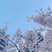 ヒメ日記 2025/04/06 14:29 投稿 あずさ G-SCANDAL