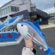 ヒメ日記 2025/05/06 14:29 投稿 あずさ G-SCANDAL