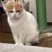 ヒメ日記 2025/05/25 17:39 投稿 あずさ G-SCANDAL