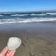 ヒメ日記 2025/06/12 14:33 投稿 あずさ G-SCANDAL